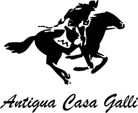 Antigua Casa Galli Logo